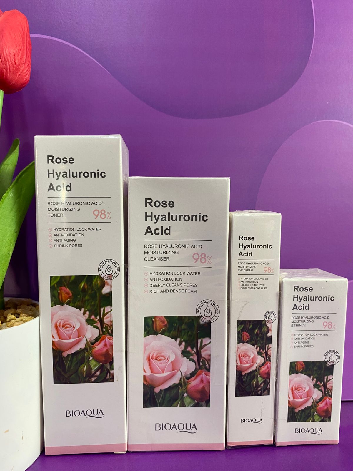 KIT DE ROSAS BIOAQUA