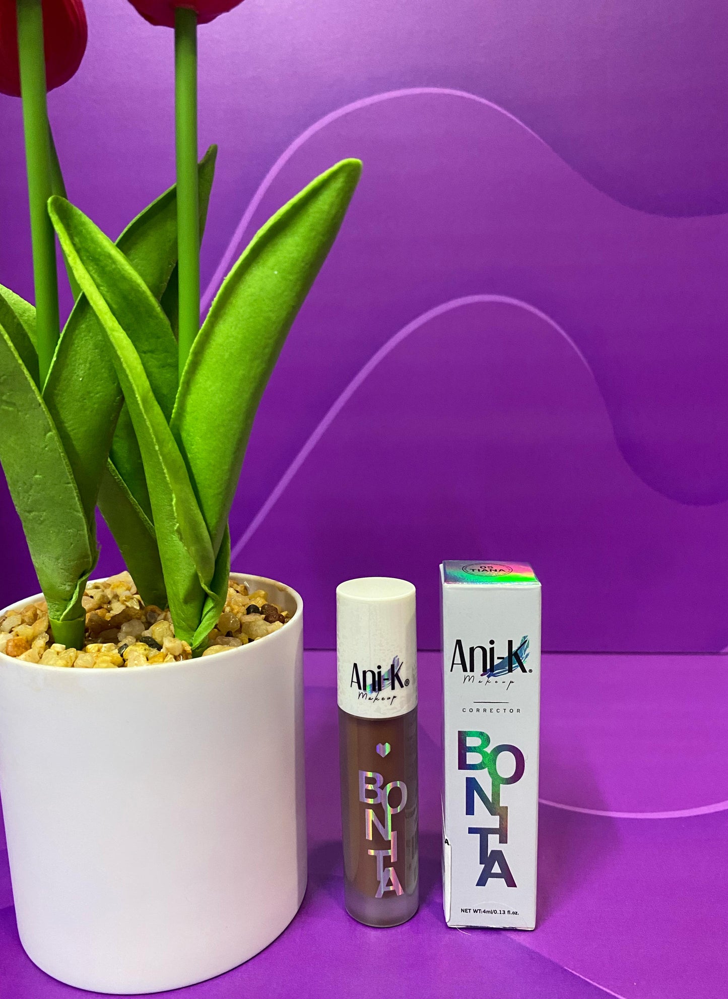 CORRECTOR ANIK