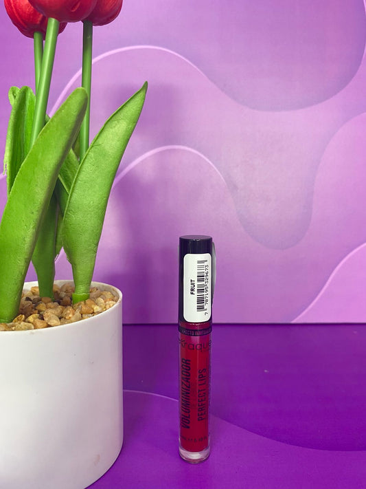 VOLUMINIZADOR  PERFECT LIPS